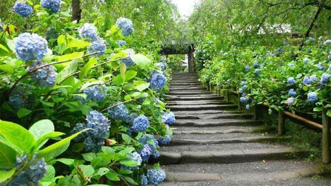 鎌倉記憶 Homestay Kamakura